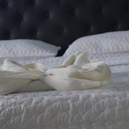 Hostal Magica Noche Filandia Hotel Екстериор снимка